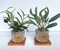 Artificial Mini Olive Tree in Handmade Pot with Wood Coaster - Small Faux Olive Tree product 1